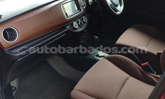 Buy Used Toyota Vitz Other Car in Hillaby in Barbados Buy Used Toyota Vitz Other Car in Hillaby in Barbados