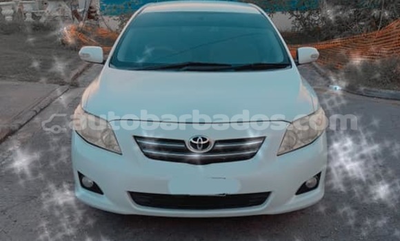 Buy Used Toyota Corolla White Car in Hillaby in Barbados Buy Used Toyota Corolla White Car in Hillaby in Barbados