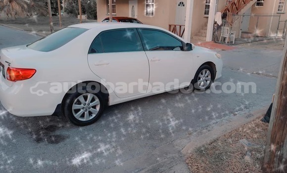 Buy Used Toyota Corolla White Car in Hillaby in Barbados Buy Used Toyota Corolla White Car in Hillaby in Barbados