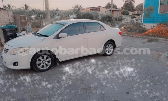 Buy Used Toyota Corolla White Car in Hillaby in Barbados Buy Used Toyota Corolla White Car in Hillaby in Barbados