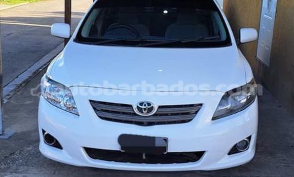 Buy Used Toyota Corolla White Car in Holetown in Barbados Buy Used Toyota Corolla White Car in Holetown in Barbados