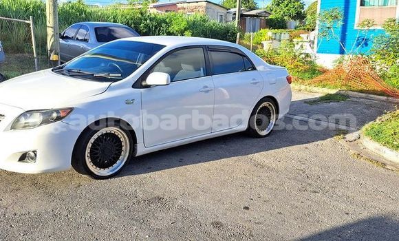 Buy Used Toyota Corolla White Car in Holetown in Barbados Buy Used Toyota Corolla White Car in Holetown in Barbados