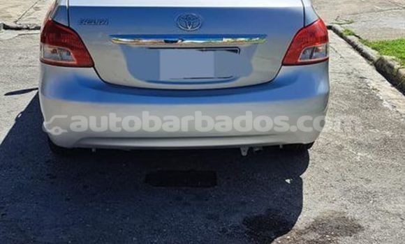 Buy Used Toyota Belta Other Car in Hillaby in Barbados Buy Used Toyota Belta Other Car in Hillaby in Barbados