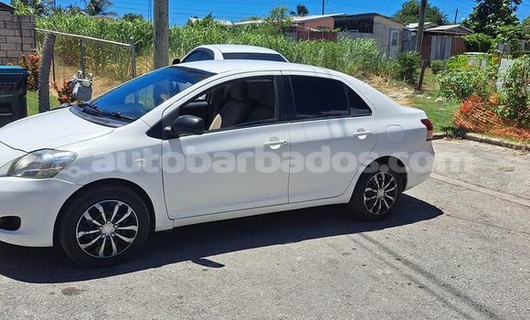 Buy Used Toyota Belta White Car in Hillaby in Barbados Buy Used Toyota Belta White Car in Hillaby in Barbados