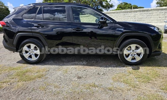 Buy Used Toyota RAV4 Black Car in Bridgetown in Barbados Buy Used Toyota RAV4 Black Car in Bridgetown in Barbados