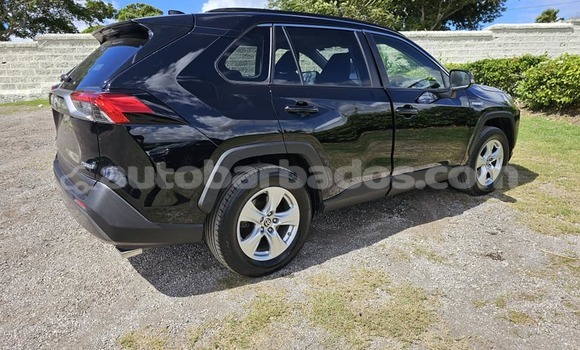 Buy Used Toyota RAV4 Black Car in Bridgetown in Barbados Buy Used Toyota RAV4 Black Car in Bridgetown in Barbados