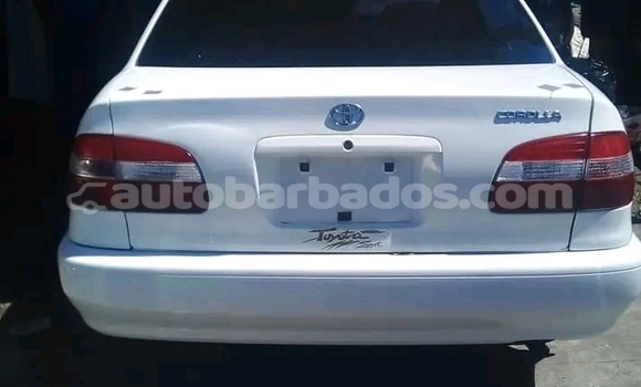Buy Used Alfa Romeo 159 White Car in Bridgetown in Barbados Buy Used Alfa Romeo 159 White Car in Bridgetown in Barbados