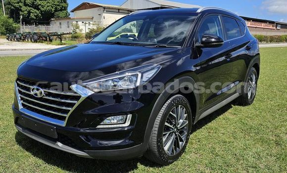 Buy Used Hyundai Tucson Black Car in Greenland in Barbados