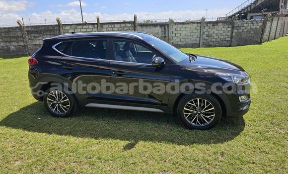 Buy Used Hyundai Tucson Black Car in Greenland in Barbados Buy Used Hyundai Tucson Black Car in Greenland in Barbados