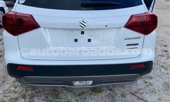 Buy Used Suzuki Escudo White Car in Hillaby in Barbados Buy Used Suzuki Escudo White Car in Hillaby in Barbados