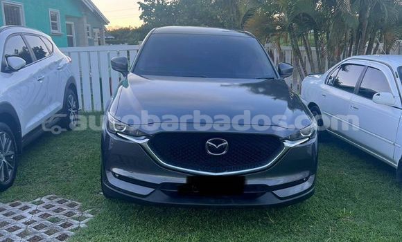 Buy Used Mazda CX-5 Black Car in Crane in Barbados