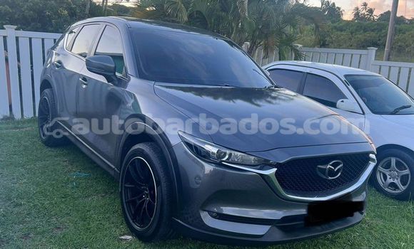 Buy Used Mazda CX-5 Black Car in Crane in Barbados Buy Used Mazda CX-5 Black Car in Crane in Barbados