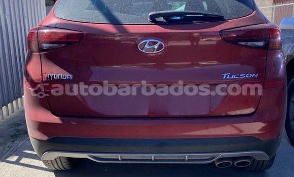 Buy Used Hyundai Tucson Red Car in Crane in Barbados Buy Used Hyundai Tucson Red Car in Crane in Barbados
