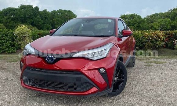 Buy Used Toyota C-HR Red Car in Hillaby in Barbados Buy Used Toyota C-HR Red Car in Hillaby in Barbados