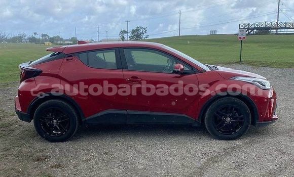 Buy Used Toyota C-HR Red Car in Hillaby in Barbados Buy Used Toyota C-HR Red Car in Hillaby in Barbados