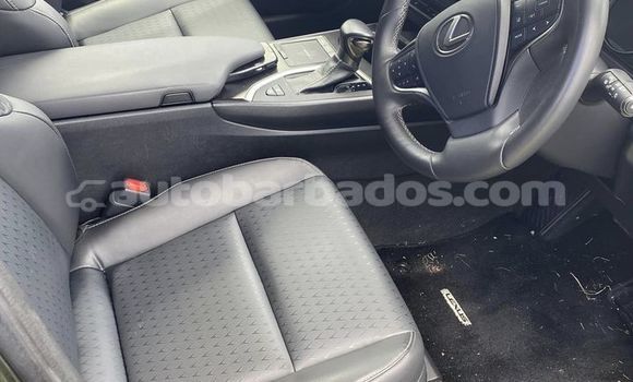 Buy Used Lexus UX Other Car in Crab Hill in Barbados Buy Used Lexus UX Other Car in Crab Hill in Barbados