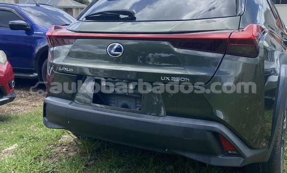 Buy Used Lexus UX Other Car in Crab Hill in Barbados Buy Used Lexus UX Other Car in Crab Hill in Barbados