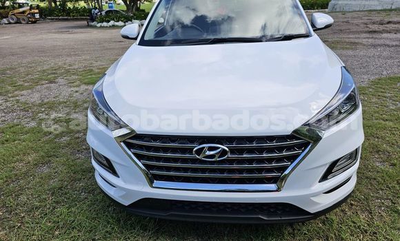 Buy Used Hyundai Tucson White Car in Greenland in Barbados Buy Used Hyundai Tucson White Car in Greenland in Barbados