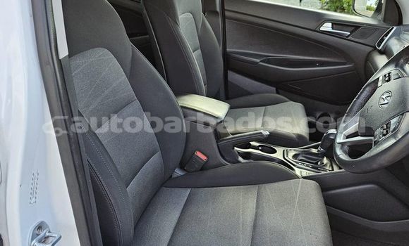 Buy Used Hyundai Tucson White Car in Greenland in Barbados Buy Used Hyundai Tucson White Car in Greenland in Barbados