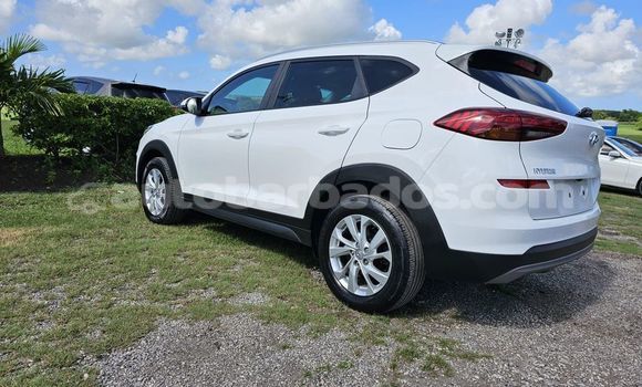 Buy Used Hyundai Tucson White Car in Greenland in Barbados Buy Used Hyundai Tucson White Car in Greenland in Barbados