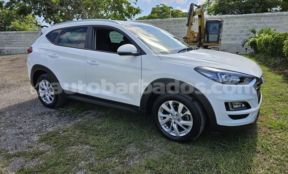 Buy Used Hyundai Tucson White Car in Greenland in Barbados Buy Used Hyundai Tucson White Car in Greenland in Barbados
