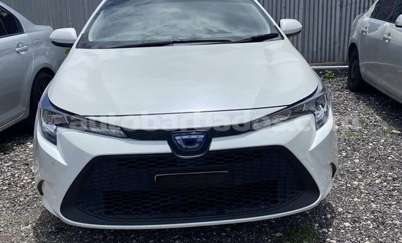 Buy Used Toyota Corolla White Car in Crane in Barbados Buy Used Toyota Corolla White Car in Crane in Barbados