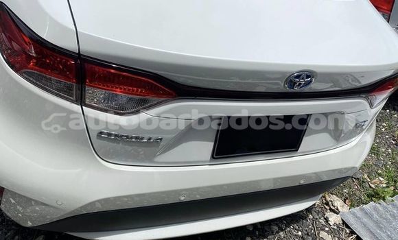 Buy Used Toyota Corolla White Car in Crane in Barbados Buy Used Toyota Corolla White Car in Crane in Barbados