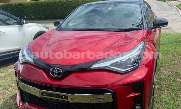 Buy Used Toyota C-HR Red Car in Greenland in Barbados Buy Used Toyota C-HR Red Car in Greenland in Barbados
