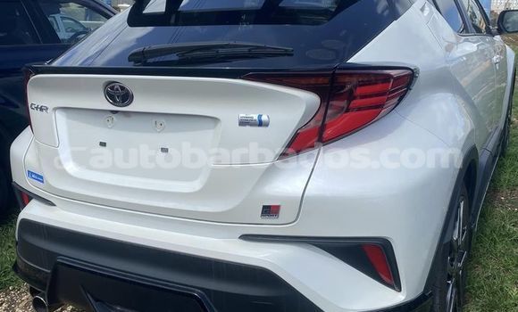 Buy Used Toyota C-HR White Car in Crane in Barbados Buy Used Toyota C-HR White Car in Crane in Barbados