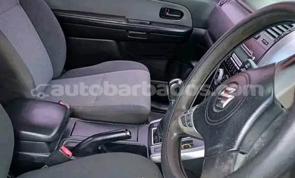 Buy Used Suzuki Cara Other Car in Hillaby in Barbados