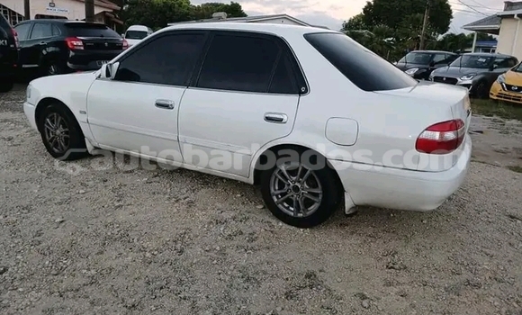 Buy Used Toyota Aqua White Car in Holetown in Barbados Buy Used Toyota Aqua White Car in Holetown in Barbados