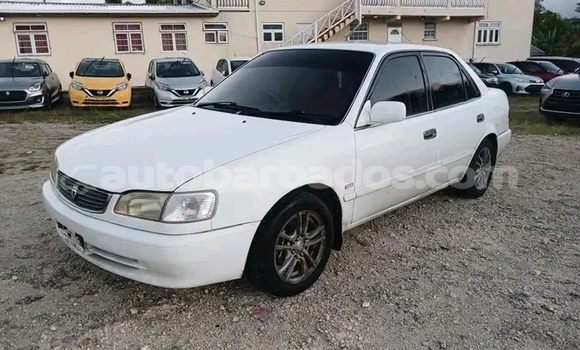 Buy Used Toyota Aqua White Car in Holetown in Barbados Buy Used Toyota Aqua White Car in Holetown in Barbados