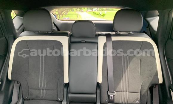 Buy Import Kia Niro Other Car in Bridgetown in Barbados Buy Import Kia Niro Other Car in Bridgetown in Barbados