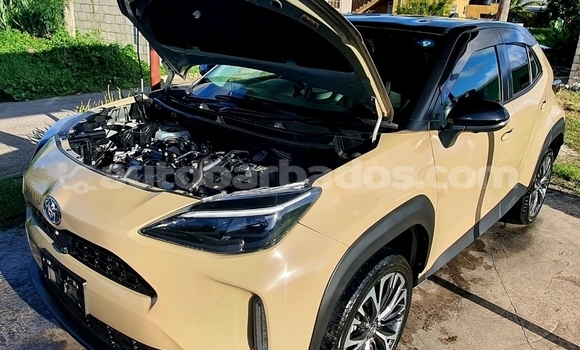 Buy Used Toyota Yaris Other Car in Bridgetown in Barbados Buy Used Toyota Yaris Other Car in Bridgetown in Barbados