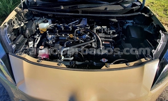 Buy Used Toyota Yaris Other Car in Bridgetown in Barbados Buy Used Toyota Yaris Other Car in Bridgetown in Barbados