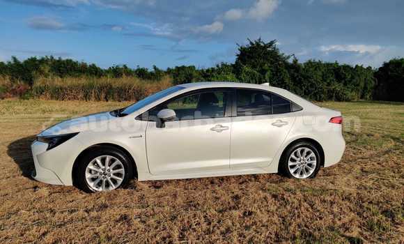Buy Used Toyota Corolla White Car in Bridgetown in Barbados Buy Used Toyota Corolla White Car in Bridgetown in Barbados