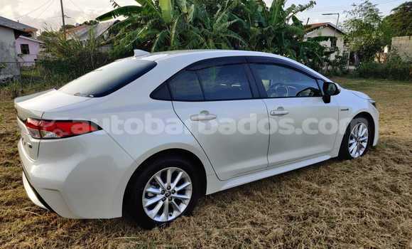 Buy Used Toyota Corolla White Car in Bridgetown in Barbados Buy Used Toyota Corolla White Car in Bridgetown in Barbados