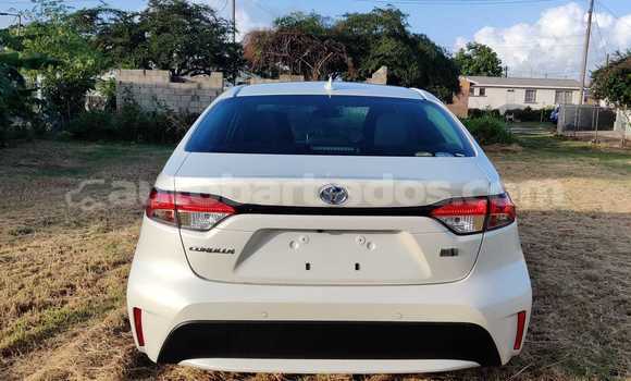 Buy Used Toyota Corolla White Car in Bridgetown in Barbados Buy Used Toyota Corolla White Car in Bridgetown in Barbados