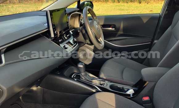 Buy Used Toyota Corolla White Car in Bridgetown in Barbados Buy Used Toyota Corolla White Car in Bridgetown in Barbados