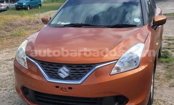 Buy Used Suzuki Baleno Other Car in Greenland in Barbados