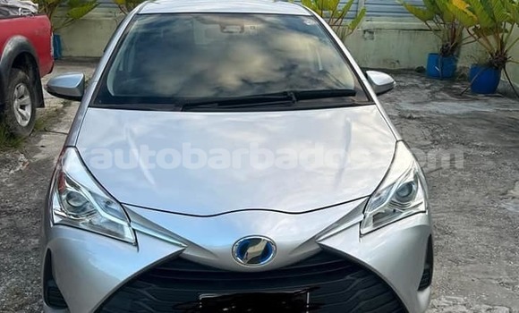 Buy Used Toyota Vitz Other Car in Crane in Barbados Buy Used Toyota Vitz Other Car in Crane in Barbados