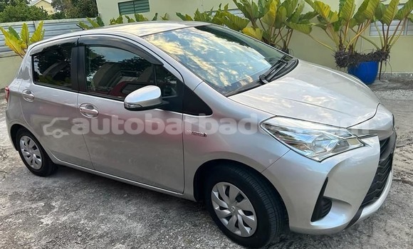 Buy Used Toyota Vitz Other Car in Crane in Barbados Buy Used Toyota Vitz Other Car in Crane in Barbados