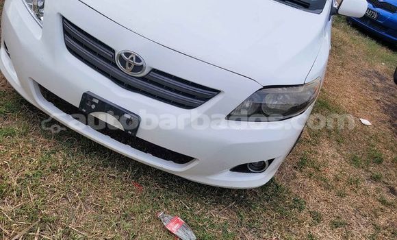 Buy Used Toyota Corolla White Car in Crane in Barbados Buy Used Toyota Corolla White Car in Crane in Barbados