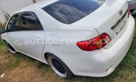 Buy Used Toyota Corolla White Car in Crane in Barbados Buy Used Toyota Corolla White Car in Crane in Barbados