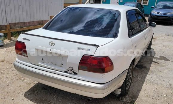 Buy Used Toyota Corolla White Car in Blackmans in Barbados Buy Used Toyota Corolla White Car in Blackmans in Barbados