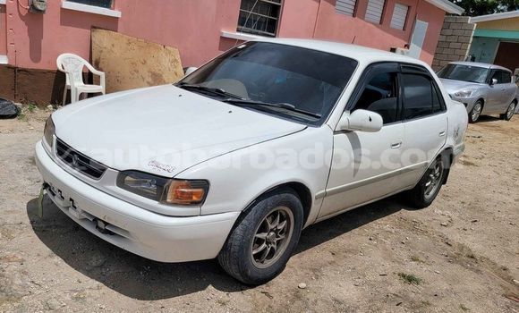 Buy Used Toyota Corolla White Car in Blackmans in Barbados Buy Used Toyota Corolla White Car in Blackmans in Barbados