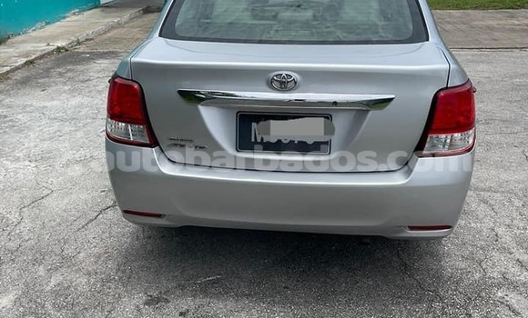 Buy Used Toyota Axio Other Car in Crane in Barbados Buy Used Toyota Axio Other Car in Crane in Barbados