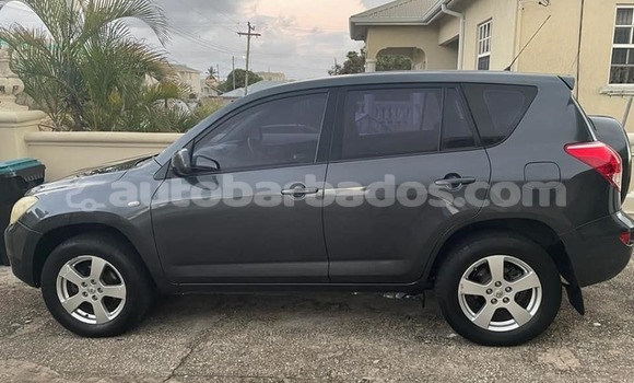 Buy Used Toyota RAV4 Other Car in Crane in Barbados Buy Used Toyota RAV4 Other Car in Crane in Barbados