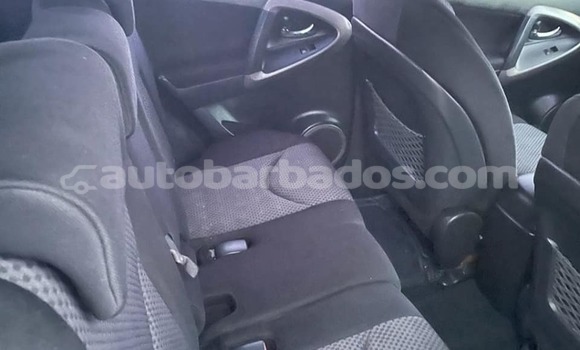 Buy Used Toyota RAV4 Other Car in Crane in Barbados Buy Used Toyota RAV4 Other Car in Crane in Barbados