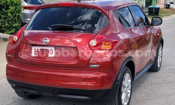 Buy Used Nissan Juke Red Car in Bridgetown in Barbados Buy Used Nissan Juke Red Car in Bridgetown in Barbados
